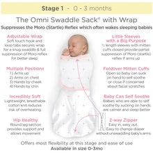 Load image into Gallery viewer, Omni Swaddle Sack 0-3Mo Stripes